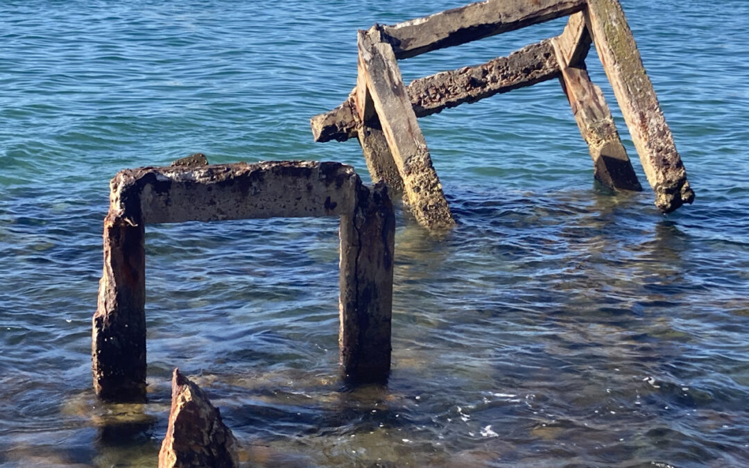 In die Selbstverantwortung gehen…