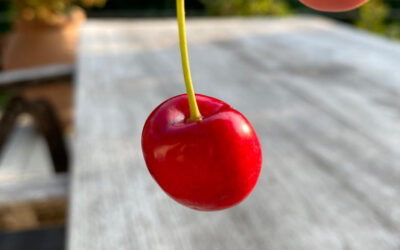 „Be the reason someone smiles today“….